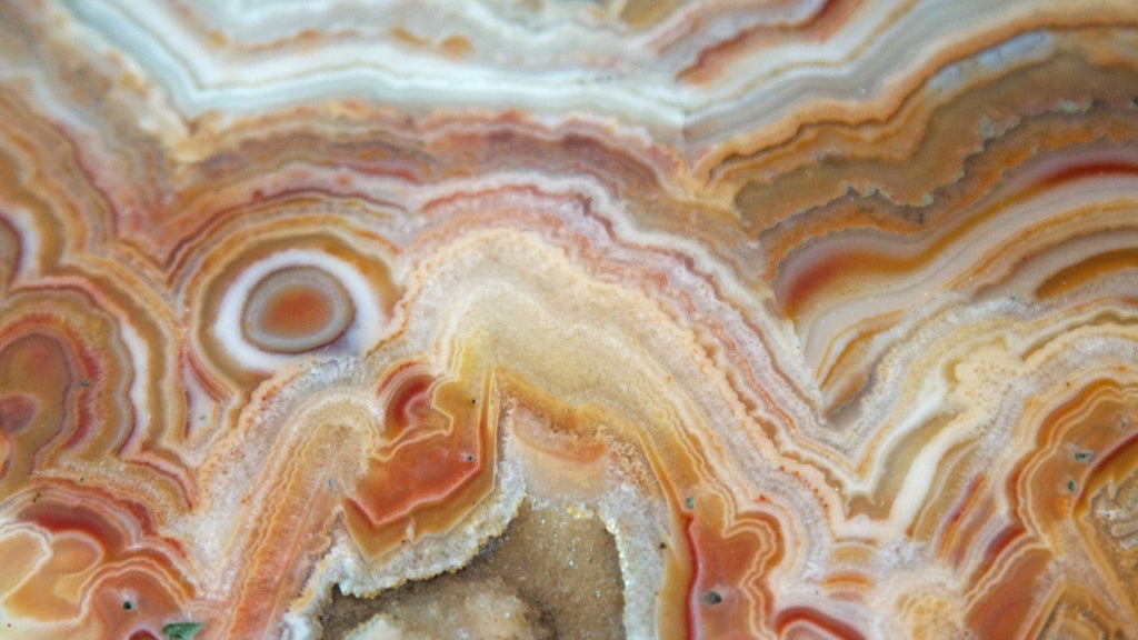 Close-up cross-section of agate stone, beautifully figured in orange, gold, white and red colors