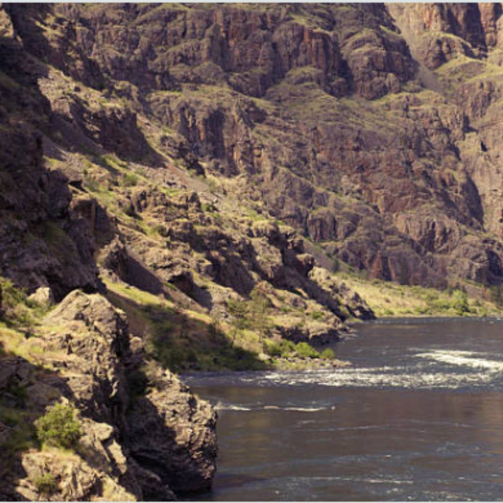 A scenic view of the Snake River canyon in Idaho.